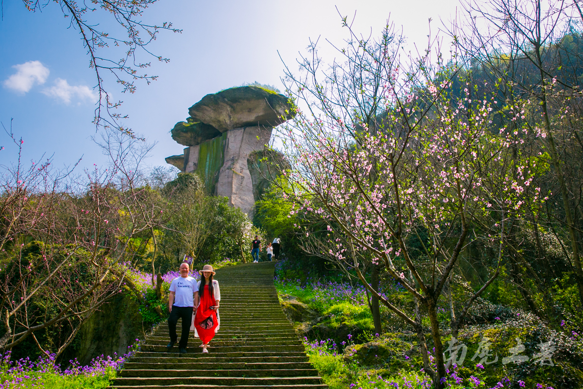 出发,去吼山交交桃花运吧