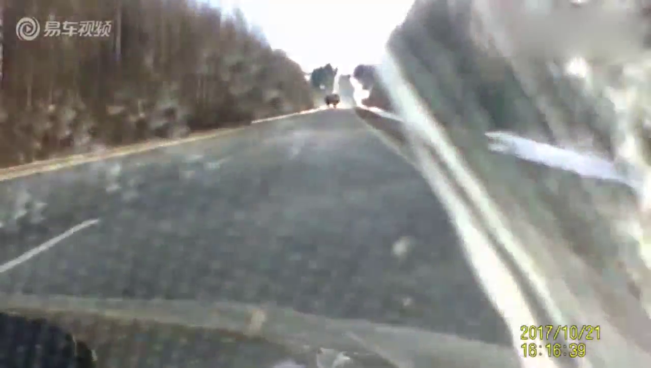 吓尿！实拍卡车车厢侧翻气势汹汹向摄像车冲来