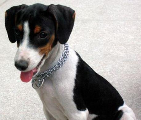 无锡品茶体验与深圳高端茶文化工作室推荐