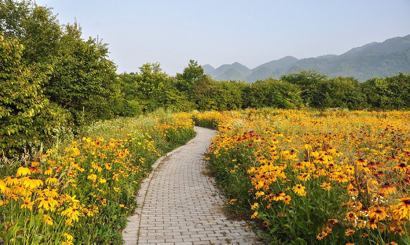 红池坝风景区实拍(重庆市巫溪县文峰镇)