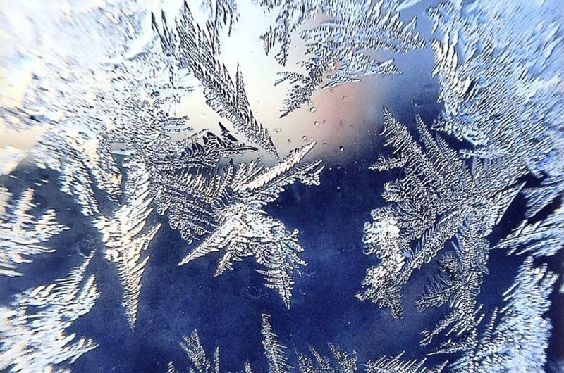 美国密歇根湖出现自然奇观，马赛克冰花营造绚烂的童话世界