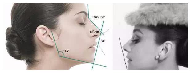 的鼻子拥有逆天的完美角度吴彥祖的鼻子长度比例几乎是标准的1/3,所以