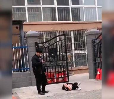 女儿躺在地上耍赖,爸爸若无其事的旁观,不服不行啊