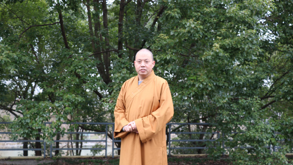 有篇风景叫做轮台胡杨林