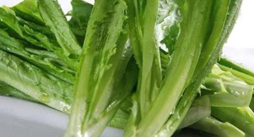 很多人都以为，油麦菜是莴笋叶子，或者是莴笋长大以前的幼苗