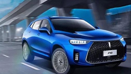 未来10年时间内，纯电动汽车和插电混动汽车谁会更受欢迎呢？