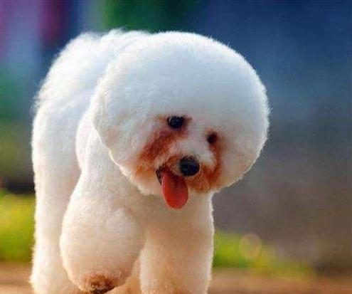 深度解读各类生活攻略及实用指南了解全通