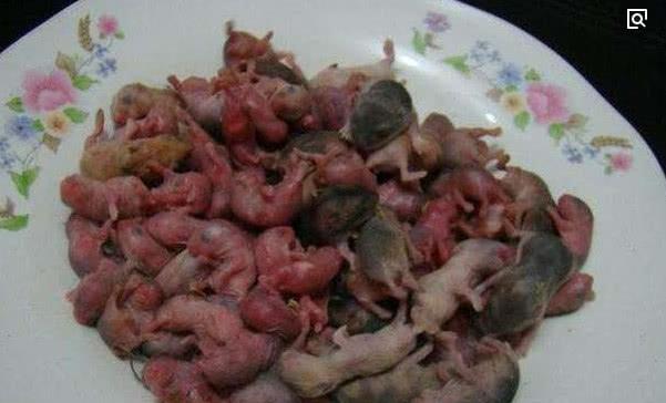广东人吃老鼠算什么!看看越南人的做法!看到成品之后