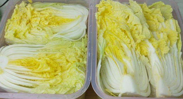 辣白菜的腌制方法,做法和配方告诉你,分分钟就能学会