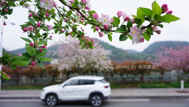 速递!新鲜的“10-15万小型车“资讯全在这，看我就够了