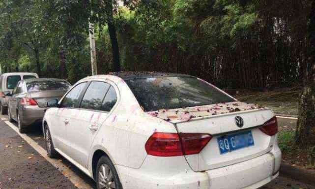 老司机说漏嘴：车漆最怕的不是暴晒跟酸雨，而是这个不起眼的东西