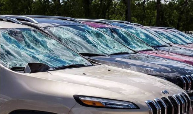 老司机为何不愿买车损险？内行人：吃一次亏，就懂了！