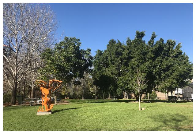 澳洲麦考瑞大学排名_去麦考瑞大学读硕士要多少钱