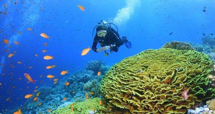 海底探险:盘点全球最美的十个潜水旅游地,提供五彩缤纷的美景!