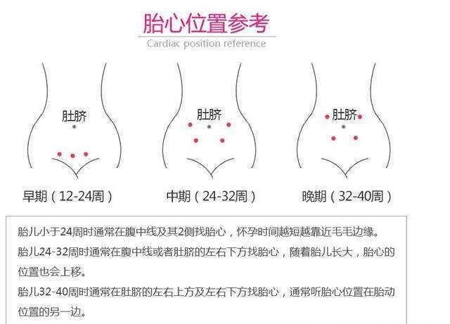 孕22周胎心位置示意图,怀孕22周宝宝胎位图 孕20周"心体验":录制胎心音,和准爸爸一起听生命的悸动