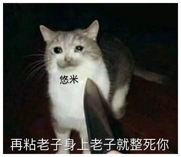 快乐魔法猫咪风靡峡谷?悠米表情包安排一波