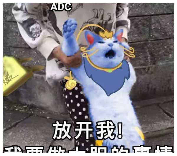 快乐魔法猫咪风靡峡谷?悠米表情包安排一波