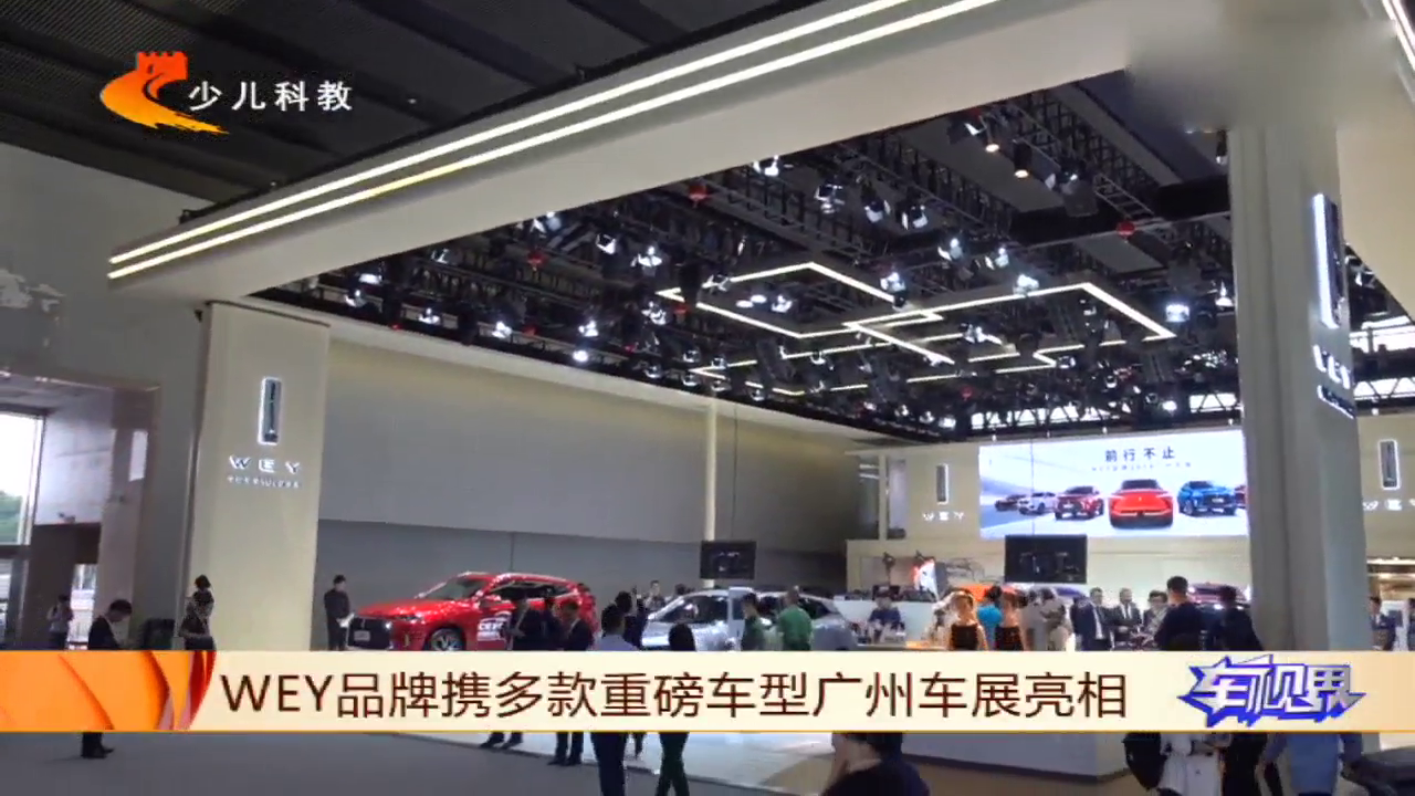 广州车展WEY VV5终结版预售13