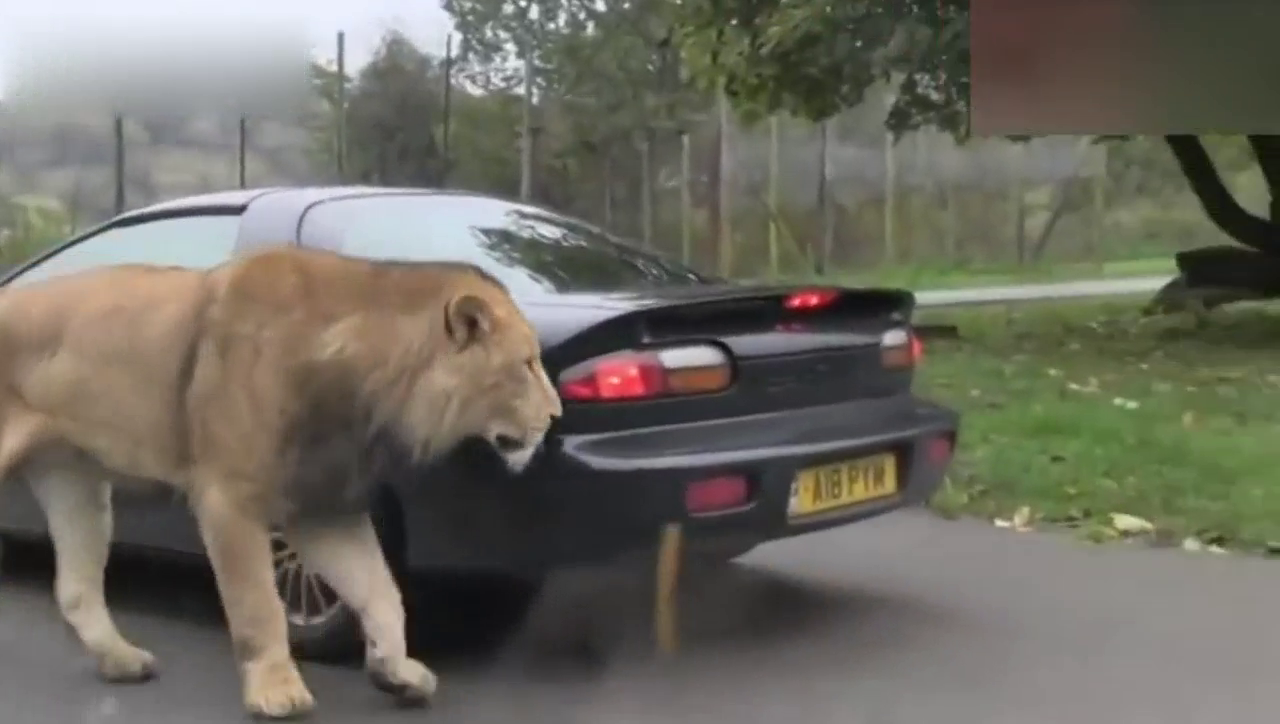 看你这跑车够拉风，帮你试试结实不
