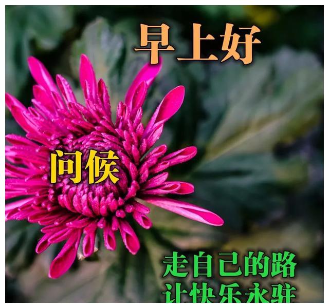 12月24日早上好图片,12月12日早上好图片 12月24日,周二早上好,珍惜你爱的人,善待爱你的人,让爱围绕你