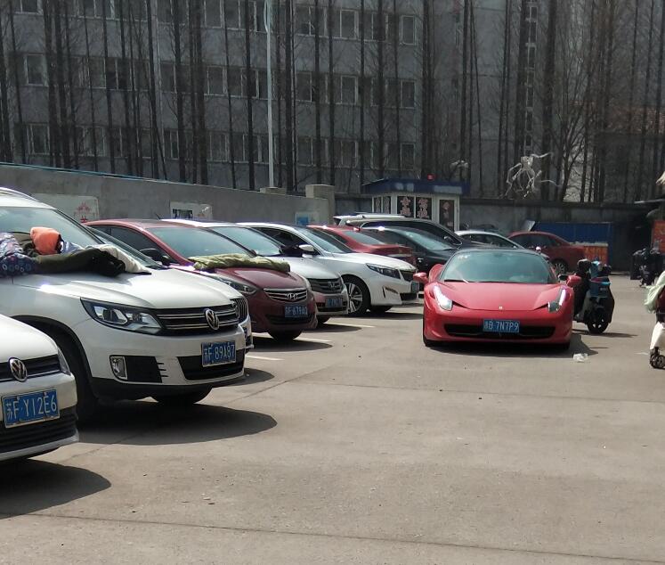 “法拉利“有新的文章更新，请注意查收