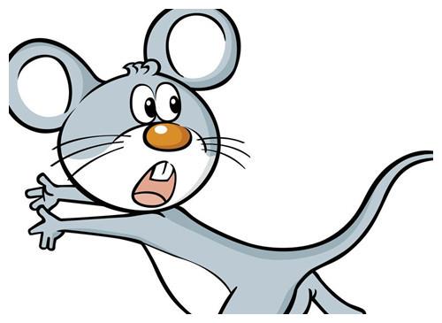 十二生肖鼠的贵人以及财位!