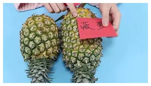 凤梨和菠萝到底有什么区别？我也是今天才明白的，学会别再瞎买了