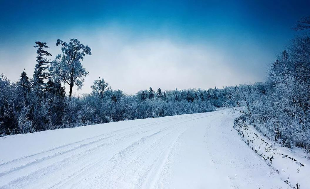 哈尔滨进入“冷冻期”，万千美景都比不上这里的童话雪世界