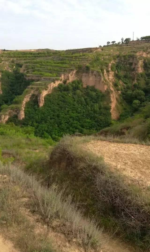 薛恒:甘肃正宁县周家镇大璋村是我们的圣地