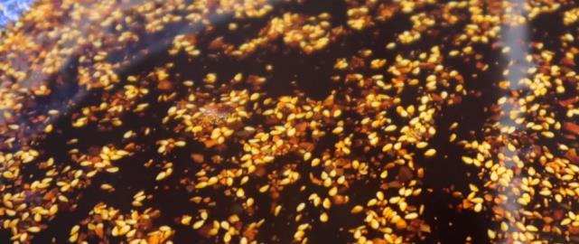 西安面食排行榜_西安第一好吃爆肚面,开门不停地煮面仍不赶趟,排队至少1小时(2)