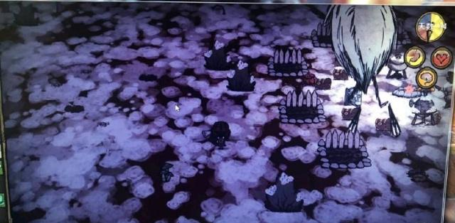 饥荒防具排行_饥荒世界最不实用道具排行,排在第一的来源很珍贵,实用性却很差