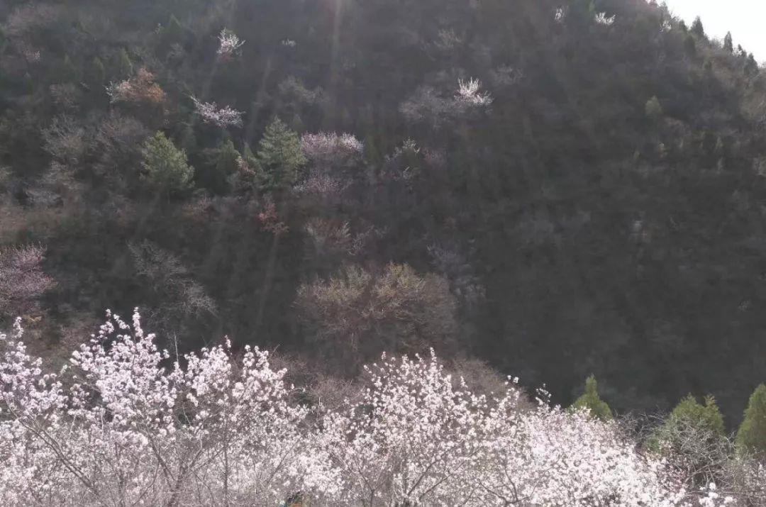 美爆了!太原及周边最适合骑行的12条路线,沿途风景太惊艳… 美爆了!太原及周边最适合骑行的12条路线,沿途风景太惊艳…