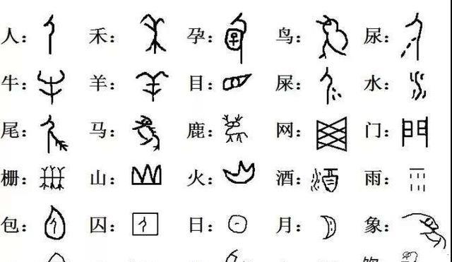 白云区龙归鸡窝位置详解与探访指南