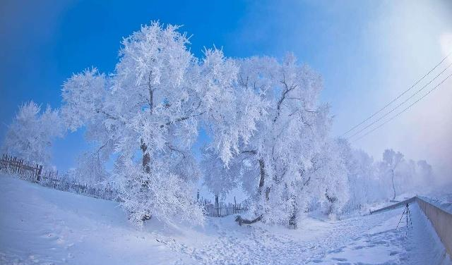 探味美旅东北看雪之行,拍摄最美的雪景感受纯真童话