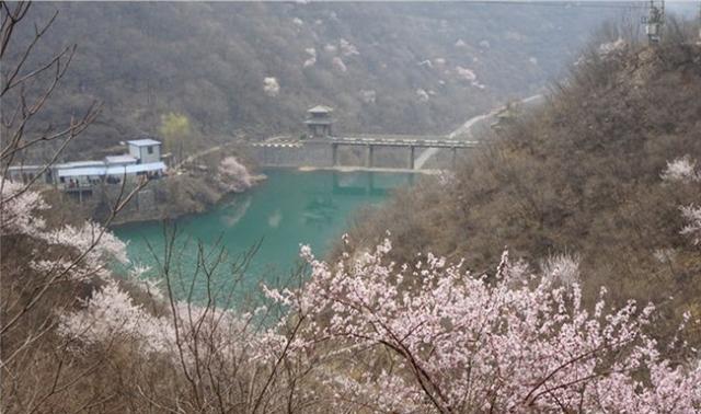 河南3月赏初春盛景线路指南!登山俯瞰花海秀丽,泛舟两岸桃花灼