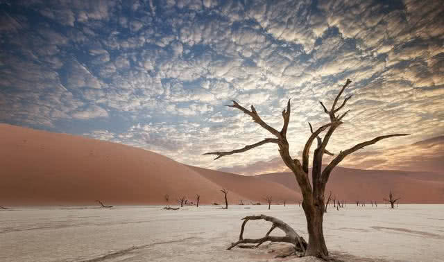 假如把沙漠里的沙子全部挖空，会出现什么异象？科学家告诉你答案