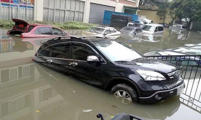 汽车泡在水里，老司机却不愿意挪车？定损员：这是高手