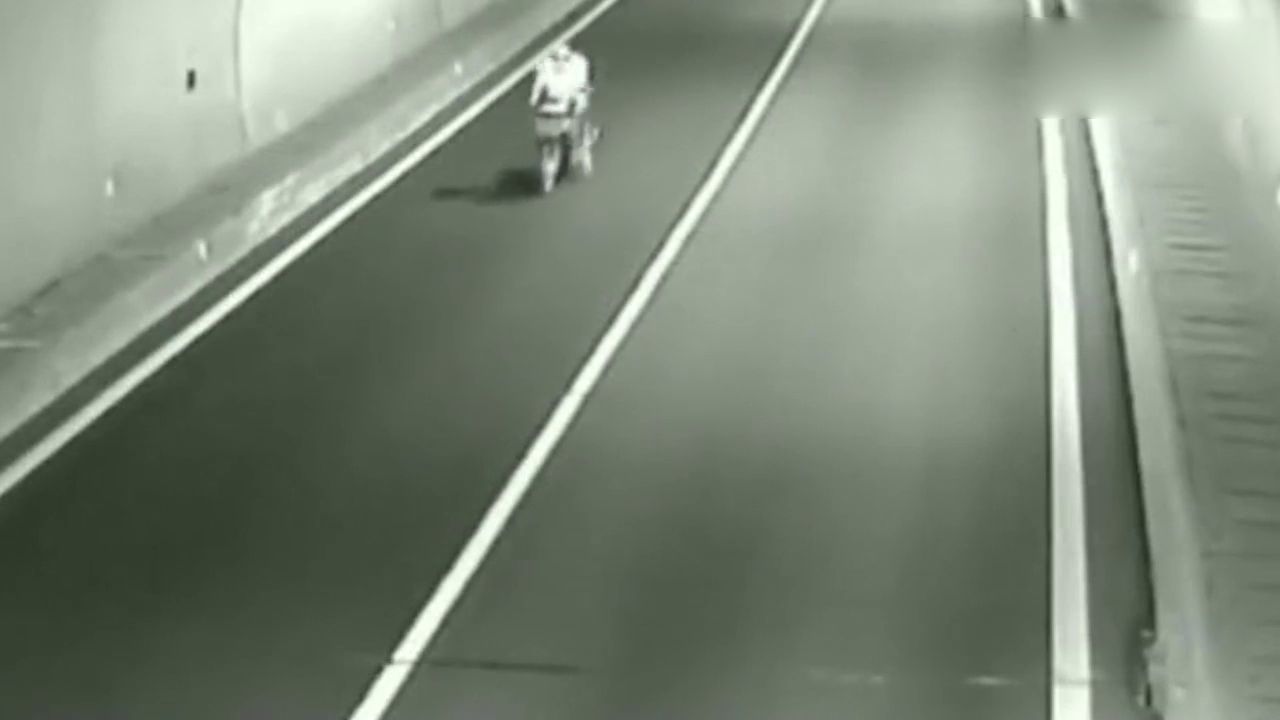 电动车女司机高速逆行，监控拍下害人害己的画面！