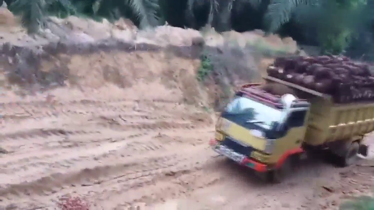 惊人的卡车驾驶技能真棒，轮胎陷入泥潭，司机拉着整车棕榈油！