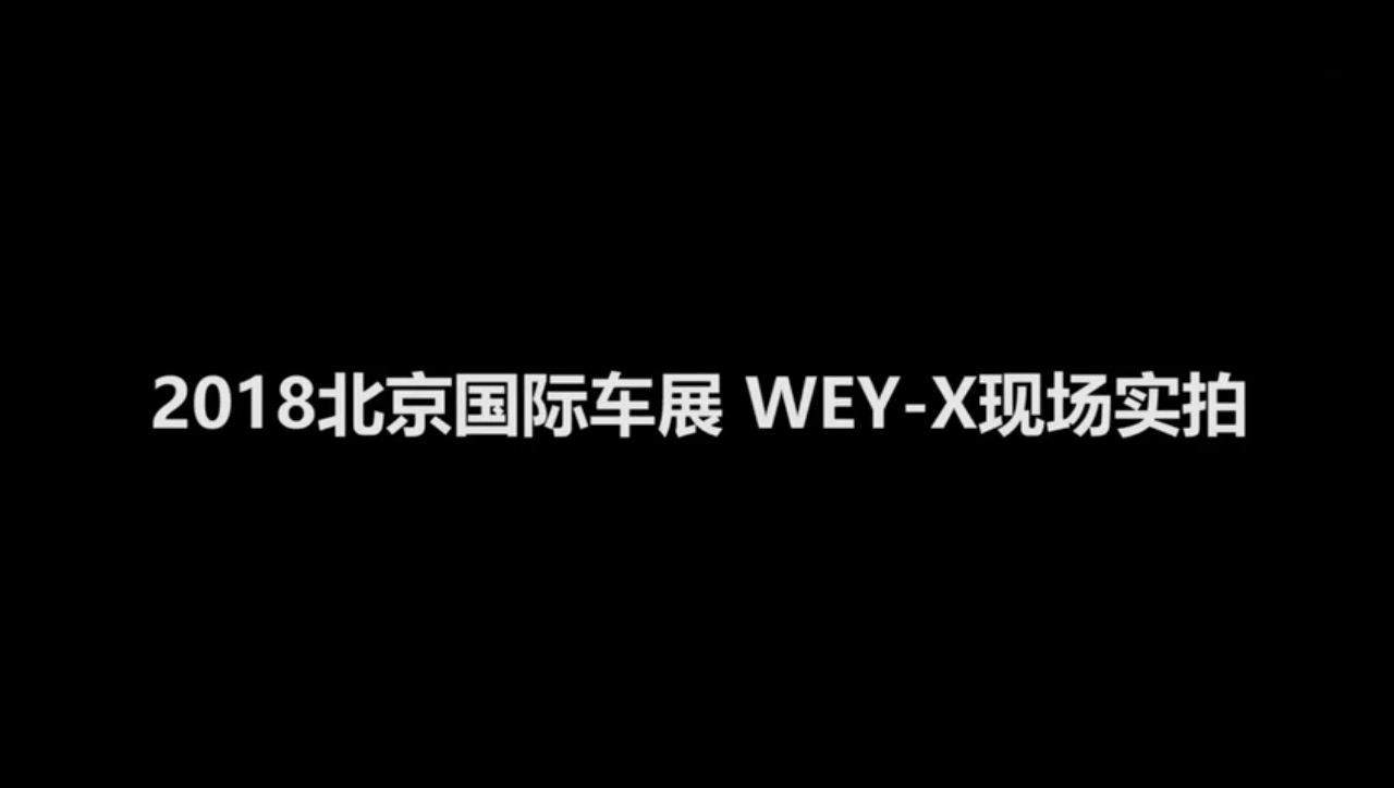 车门打开的方式真帅 详拍WEY-X概念车