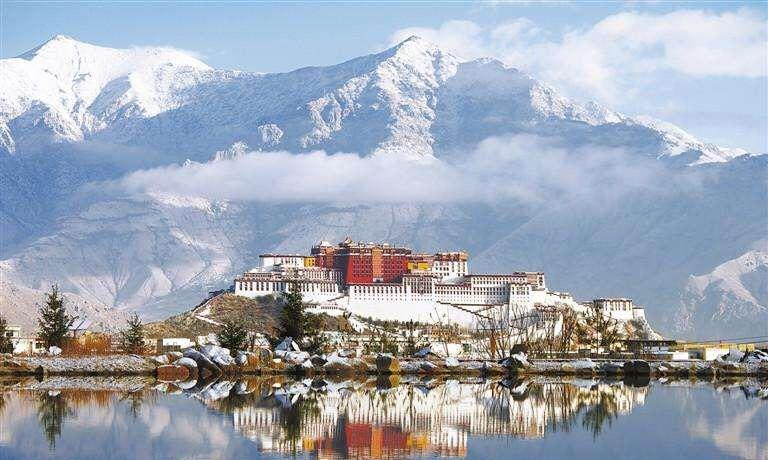 有哪些与动物有关的植物?...