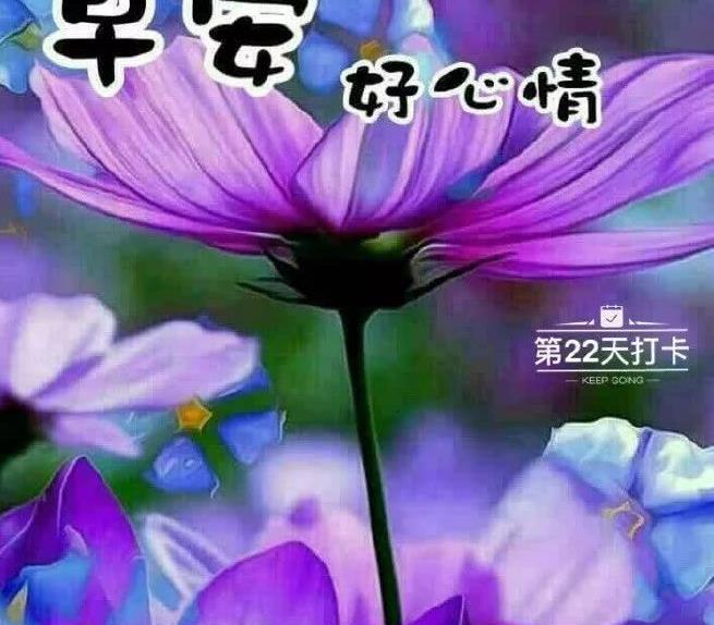 超漂亮的早安正能量问候祝福语,温馨幸福的早安图片带