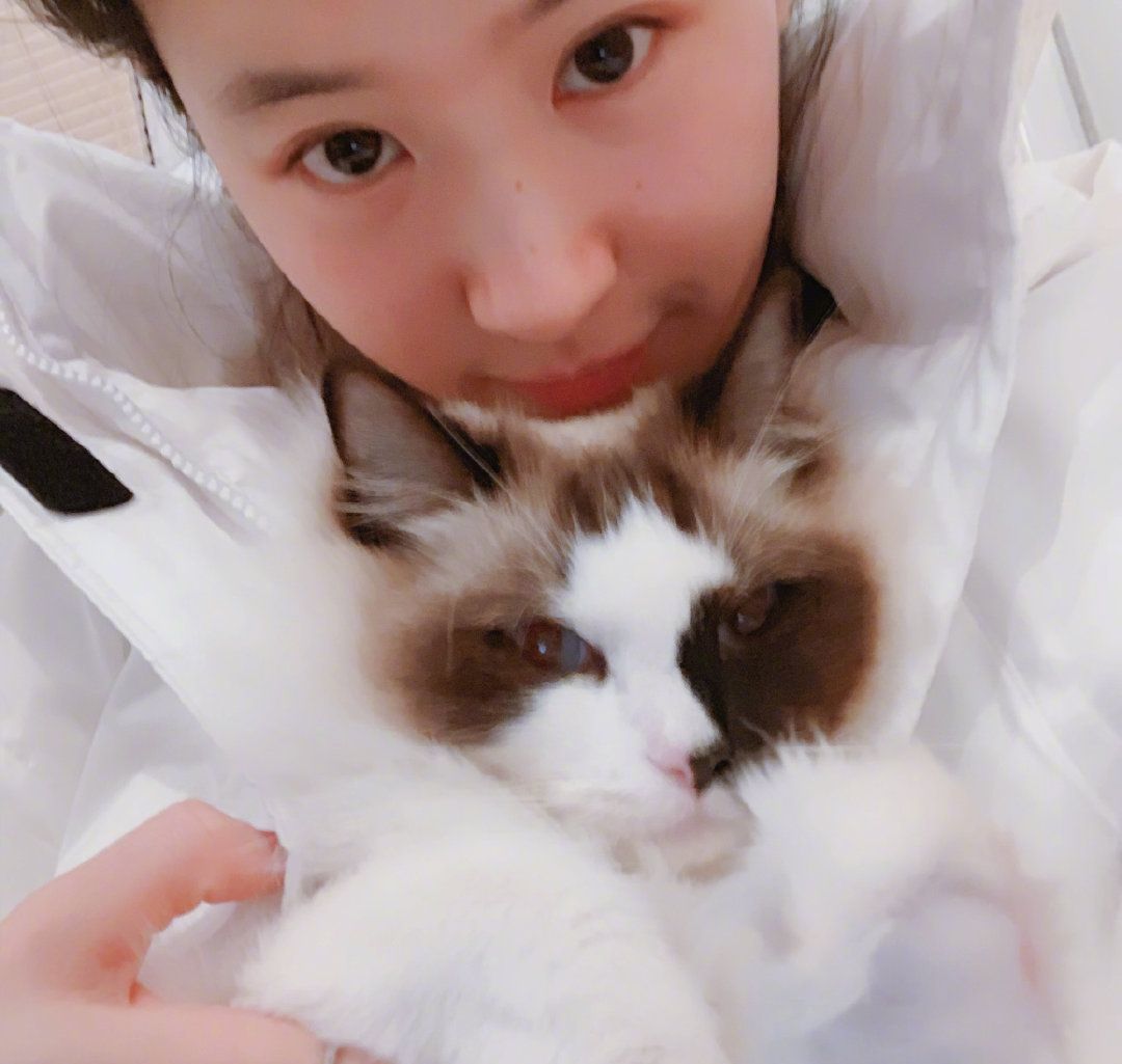 神仙姐姐刘亦菲和她的猫，姐姐素颜也超美