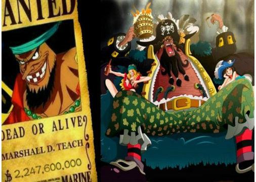 海贼王赏金排名图片