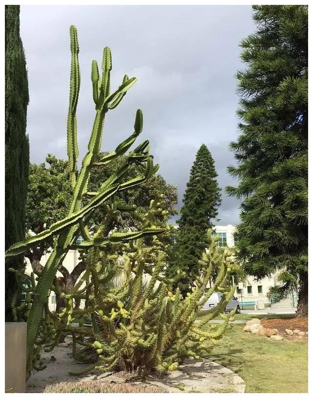 乔治华盛顿大学排名_华盛顿乔治城大学_研究