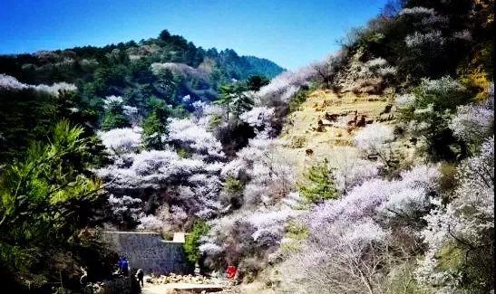 美爆了!太原及周边最适合骑行的12条路线,沿途风景太惊艳… 美爆了!太原及周边最适合骑行的12条路线,沿途风景太惊艳…