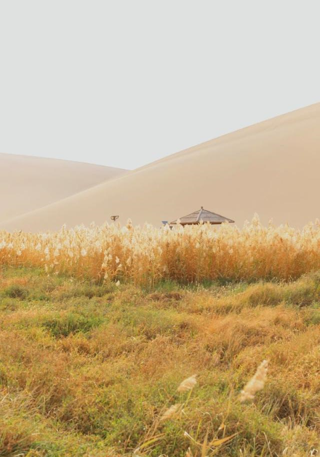 敦煌奇观一沙漠中现月牙湖，景区里走骆驼队！