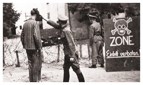 集中营里的摄影师