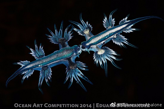 我，海神，超凶！