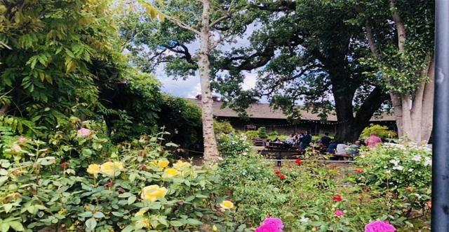 2020全球机场起降架_全世界最没用的机场!花费25亿元打造,7年来(2)